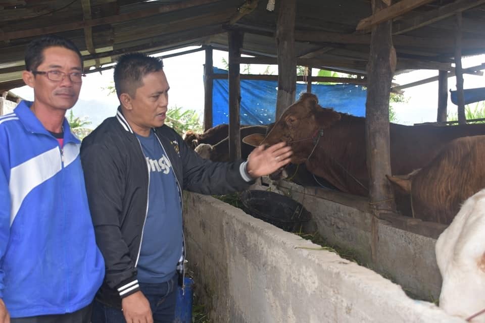 Dukung Bumdes Sukses, Sofyan Ali Kunjungi Bumdes Kayu Aro