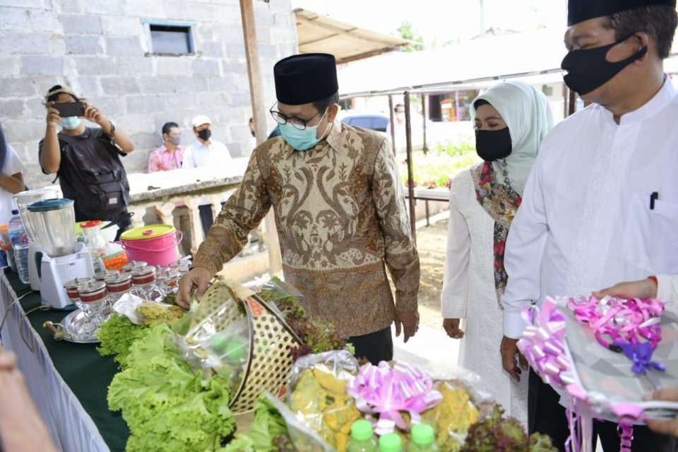 Mendes Resmikan Kampung Hidropanik