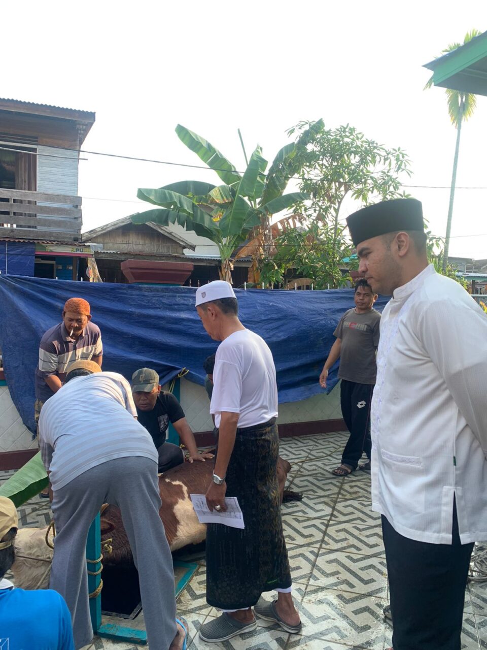 Rendra Usman Persembahkan Sapi Simental Untuk Warga Kampung Nelayan