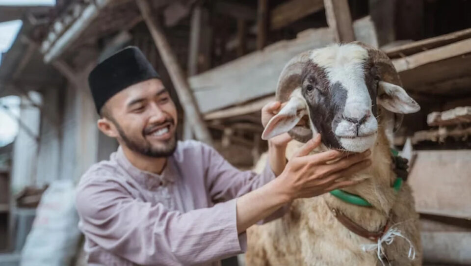 Berkurban Harus Dengan Hewan Terbaik, Begini Ciri-cirinya