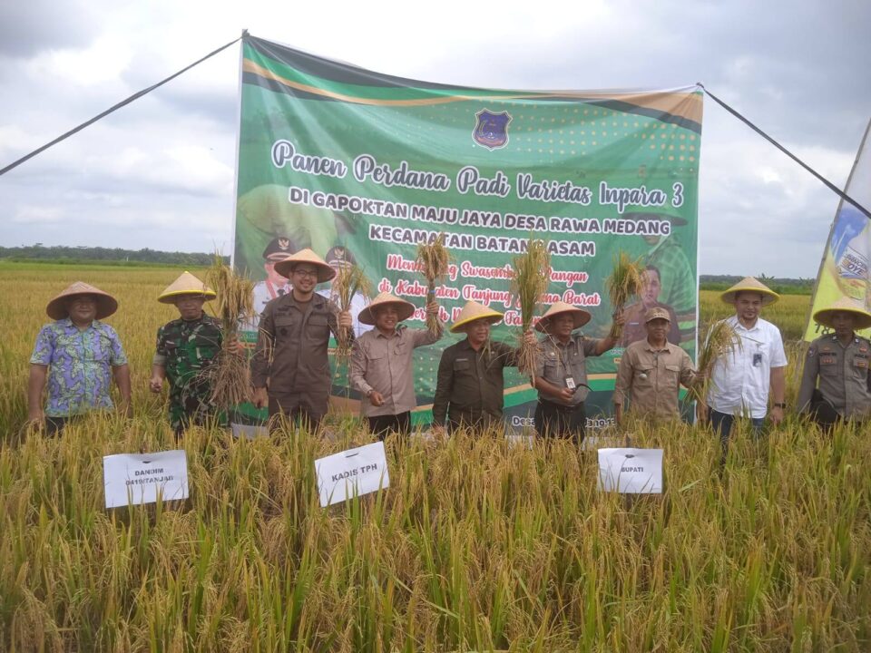 Rayakan Panen Perdana Padi: Bupati Tanjung Jabung Barat Ajak Sukseskan Ketahanan Pangan