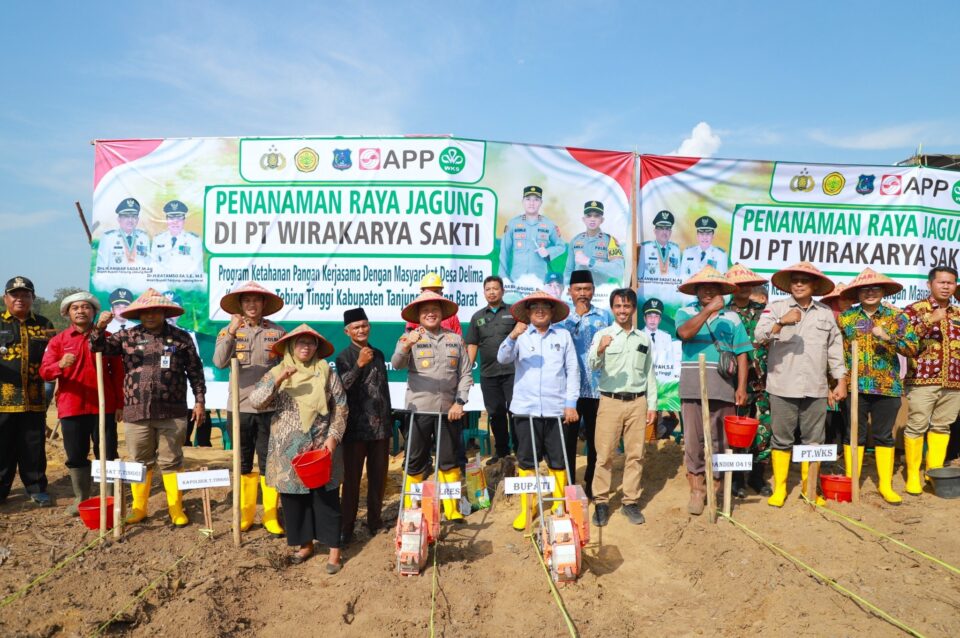 Tanjab Barat Dorong Ketahanan Pangan Lewat Program Penanaman Jagung di Tebing Tinggi