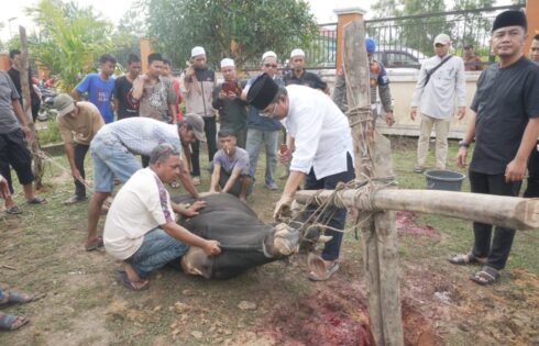 Bupati Anwar Sadat saat menyembelih sapi kurban